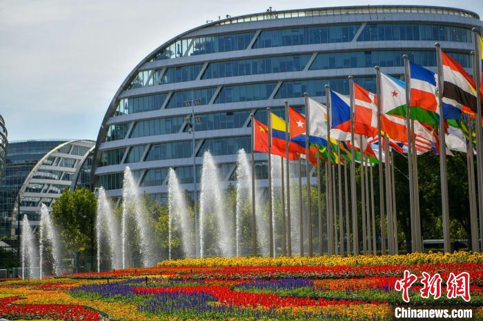 第五屆進(jìn)博會(huì)場(chǎng)館景觀裝飾全面定妝。　陳夢(mèng)澤 攝